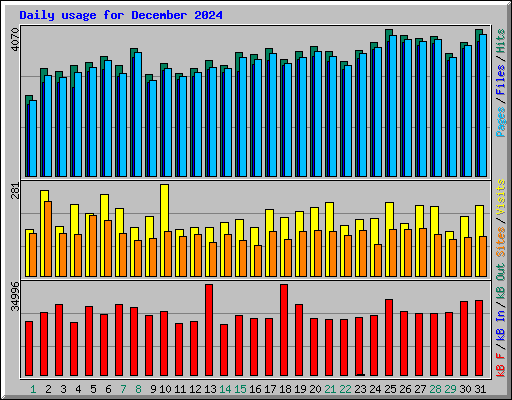 Daily usage for December 2024