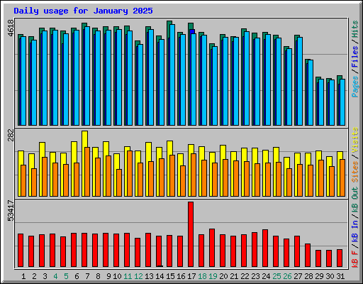 Daily usage for January 2025