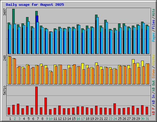 Daily usage for August 2025
