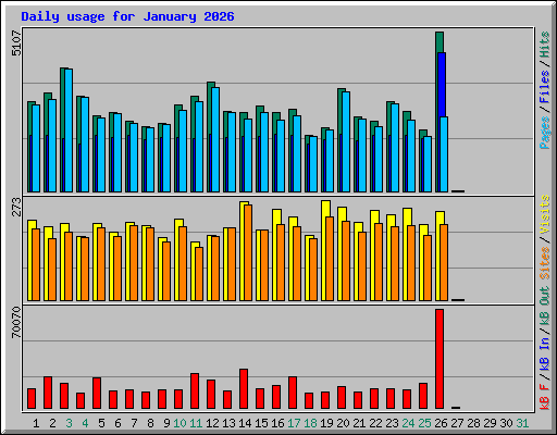 Daily usage for January 2026