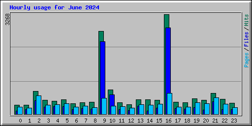 Hourly usage for June 2024