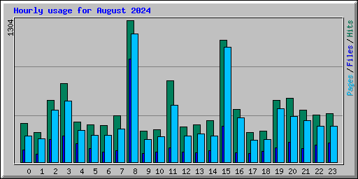 Hourly usage for August 2024