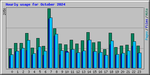 Hourly usage for October 2024