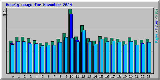 Hourly usage for November 2024