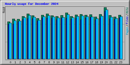 Hourly usage for December 2024