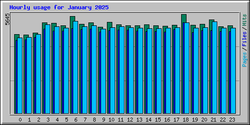 Hourly usage for January 2025