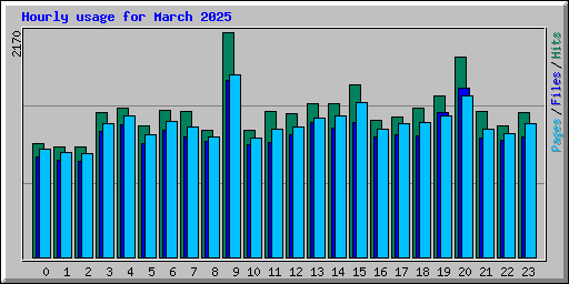 Hourly usage for March 2025