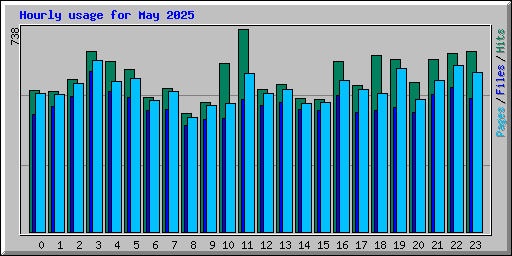 Hourly usage for May 2025