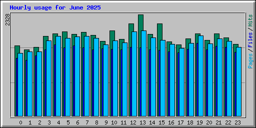 Hourly usage for June 2025