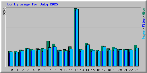 Hourly usage for July 2025