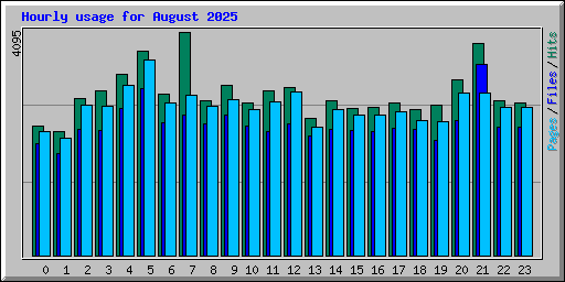 Hourly usage for August 2025