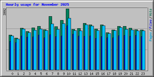 Hourly usage for November 2025