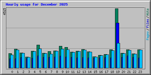 Hourly usage for December 2025