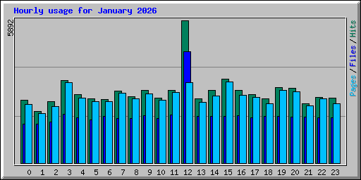 Hourly usage for January 2026