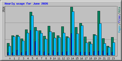 Hourly usage for June 2026