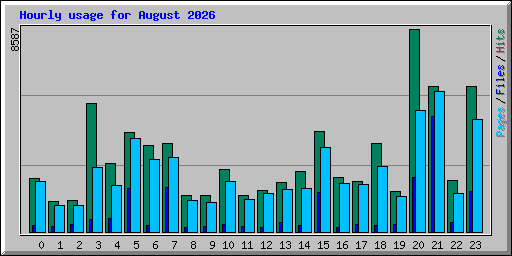 Hourly usage for August 2026